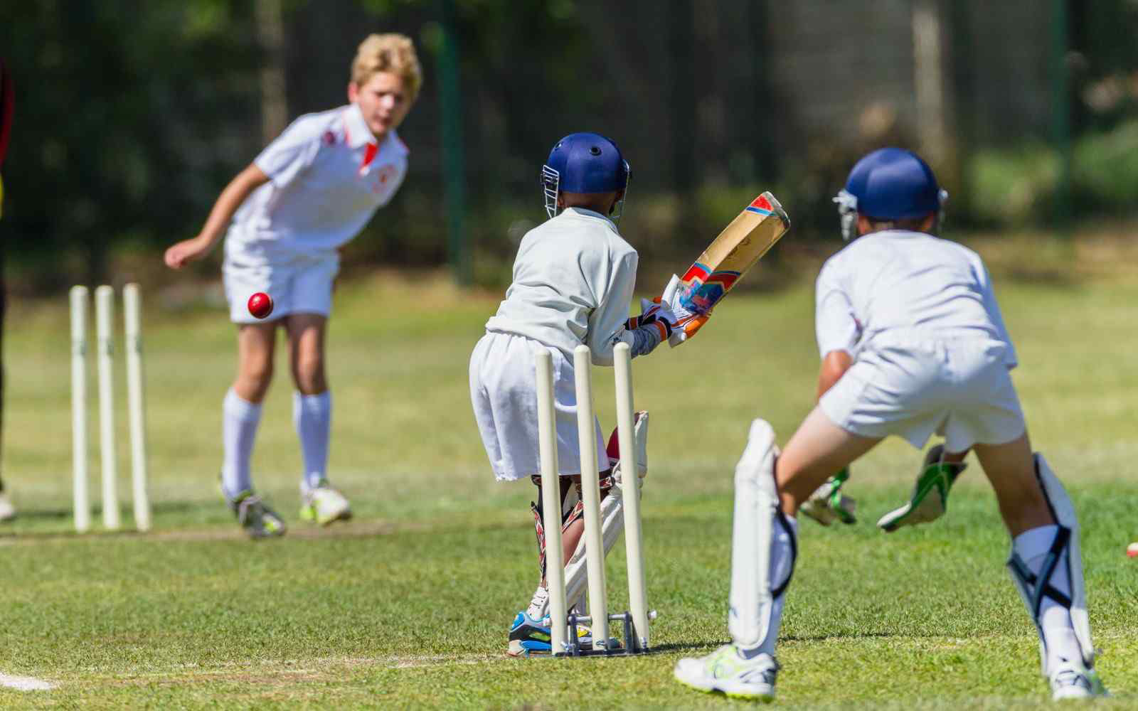 After School Programs (Term 4)